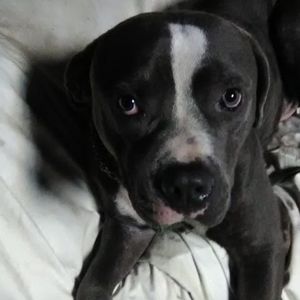 Meet your Posher, Jeffandthia